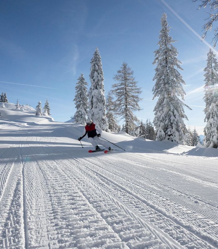 Winter Aktiv